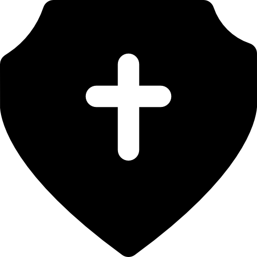 Shield Basic Black Solid icon