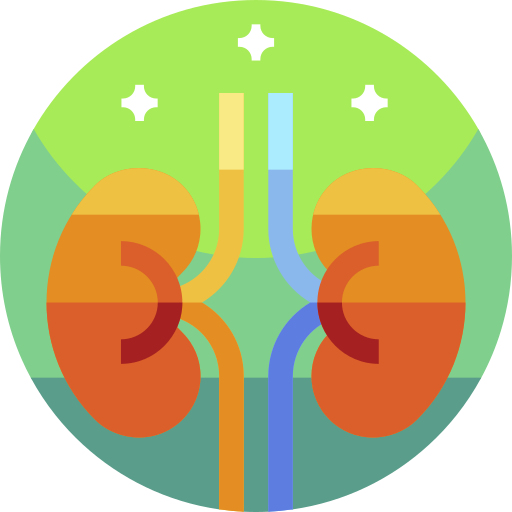 腎臓 Geometric Flat Circular Flat icon