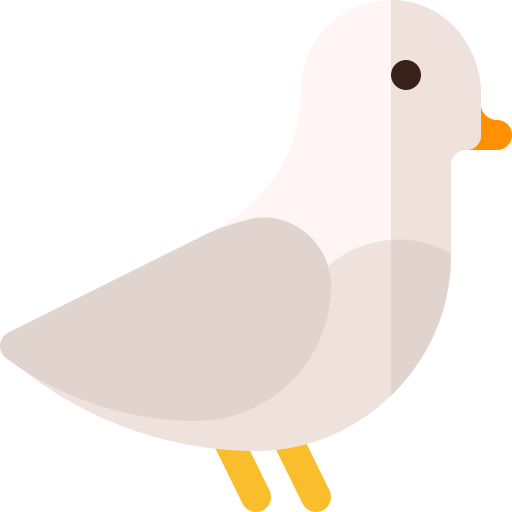 Pigeon Basic Rounded Flat icon