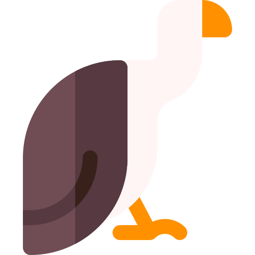 avvoltoio Basic Rounded Flat icona