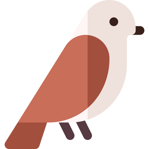 Sparrow Basic Rounded Flat icon