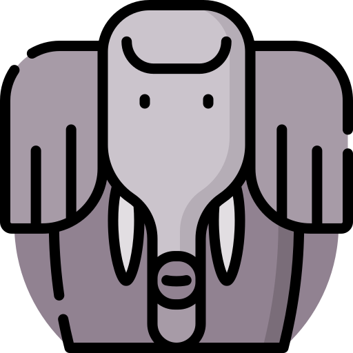 elefant Special Lineal color icon