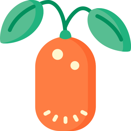kumquat Special Flat icoon