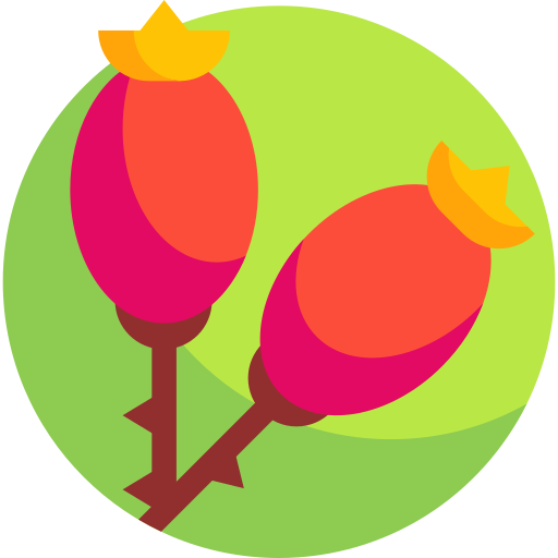 Berry Detailed Flat Circular Flat icon