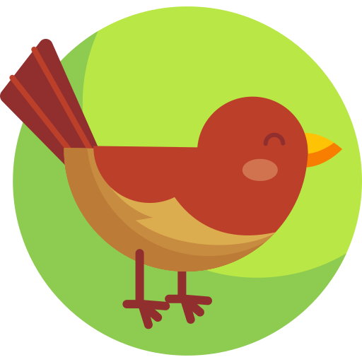 vogel Detailed Flat Circular Flat icon
