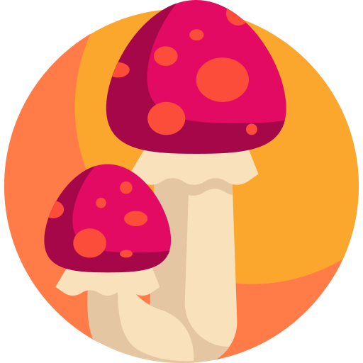 Mushroom Detailed Flat Circular Flat icon