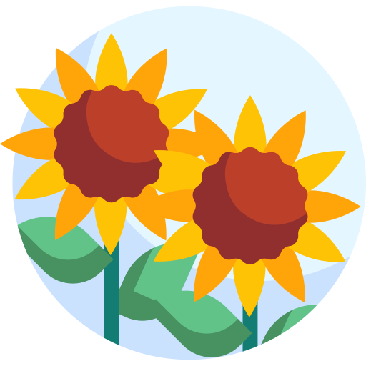 sonnenblume Detailed Flat Circular Flat icon