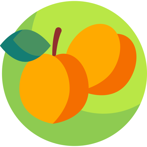 Peach Detailed Flat Circular Flat icon