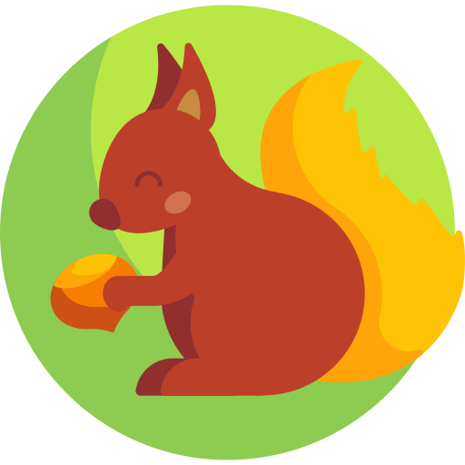 Squirrel Detailed Flat Circular Flat icon