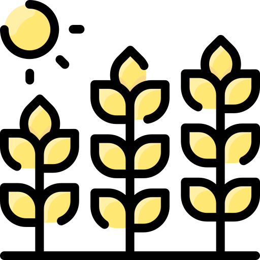 小麦 Vitaliy Gorbachev Lineal Color icon