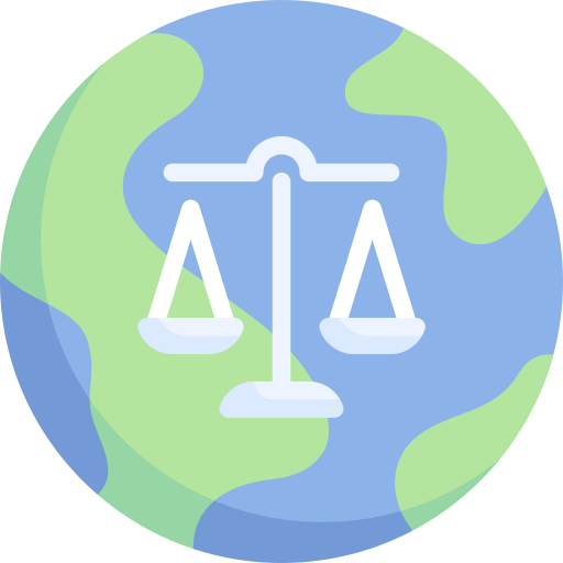 International law Special Flat icon