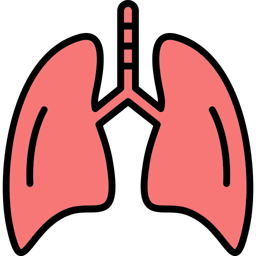 pulmões humanos Generic Outline Color Ícone