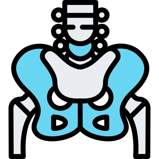 Pelvis Generic Outline Color icon