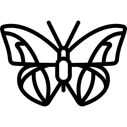 Butterfly Special Lineal icon