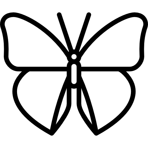 나비 Special Lineal icon