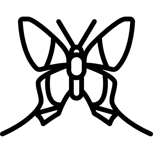 Butterfly Special Lineal icon