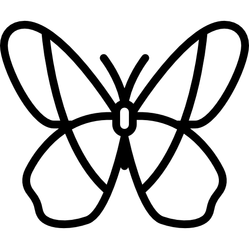 vlinder Special Lineal icoon