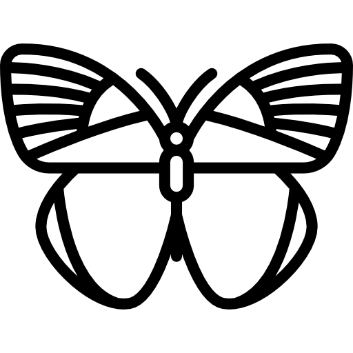 farfalla Special Lineal icona