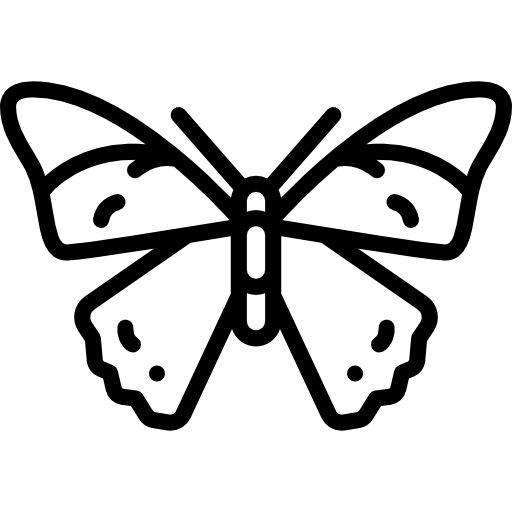 Butterfly Special Lineal icon