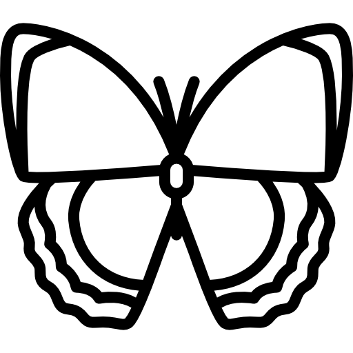 borboleta Special Lineal Ícone