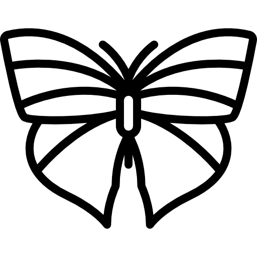 Butterfly Special Lineal icon