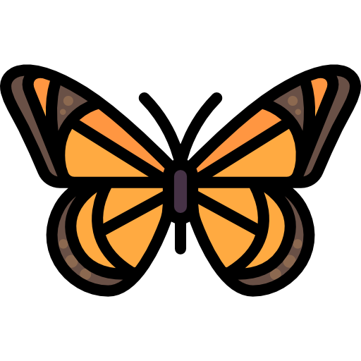 Butterfly Special Lineal color icon