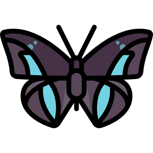 Butterfly Special Lineal color icon