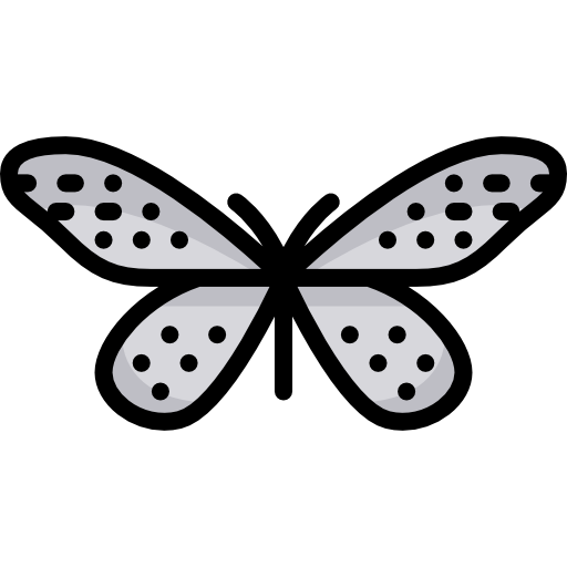 나비 Special Lineal color icon