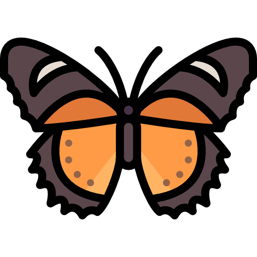 Butterfly Special Lineal color icon