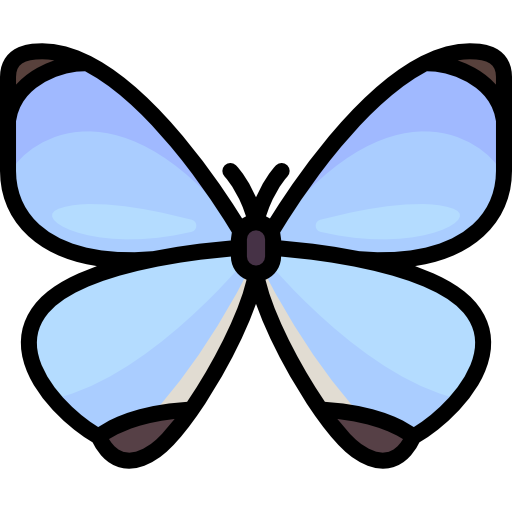 Butterfly Special Lineal color icon