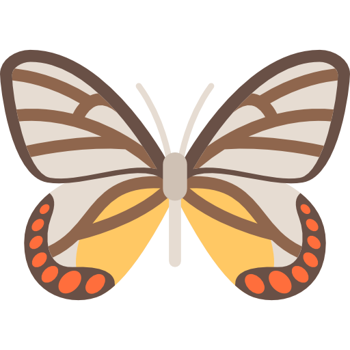 Butterfly Special Flat icon