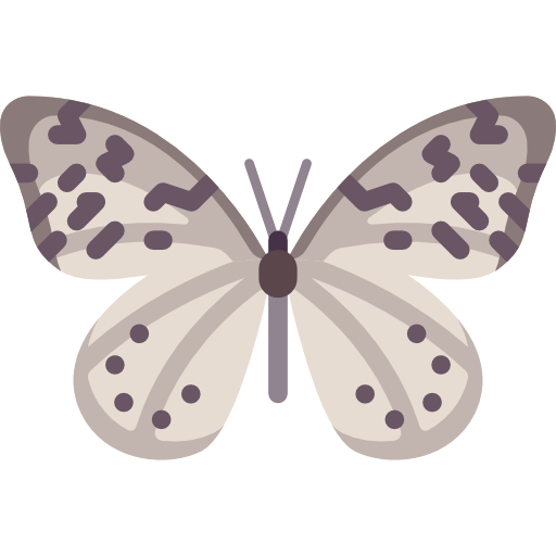 Butterfly Special Flat icon