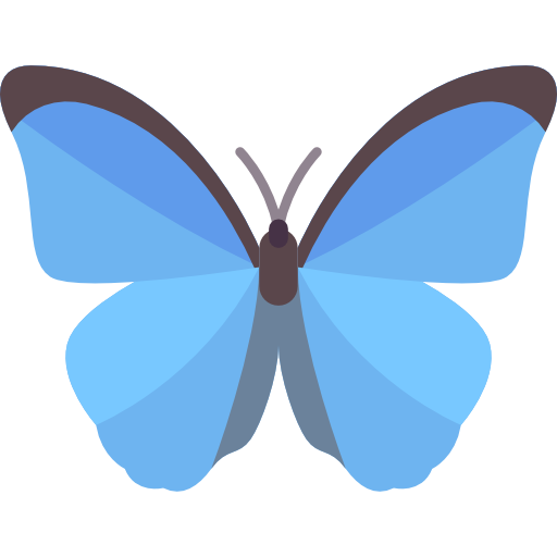 Butterfly Special Flat icon