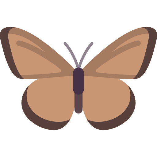 borboleta Special Flat Ícone