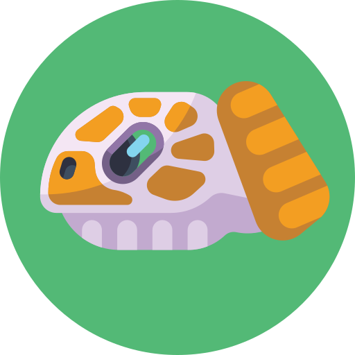 tartaruga Generic Circular icona