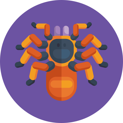 araignée Generic Circular Icône
