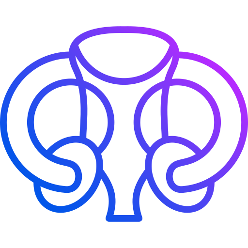 Uterus Generic Gradient icon