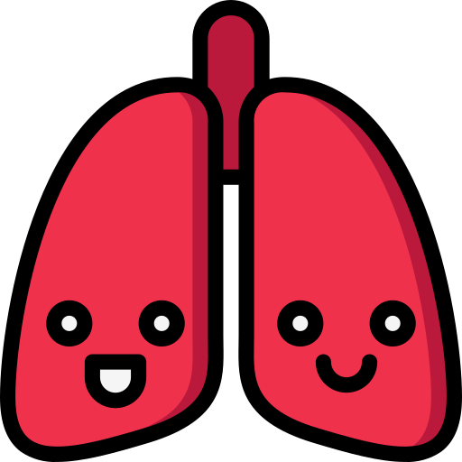 Lungs Basic Miscellany Lineal Color icon