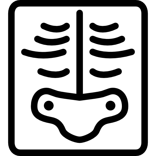röntgen Cursor creative Lineal icon
