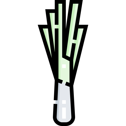 Leek Detailed Straight Lineal color icon