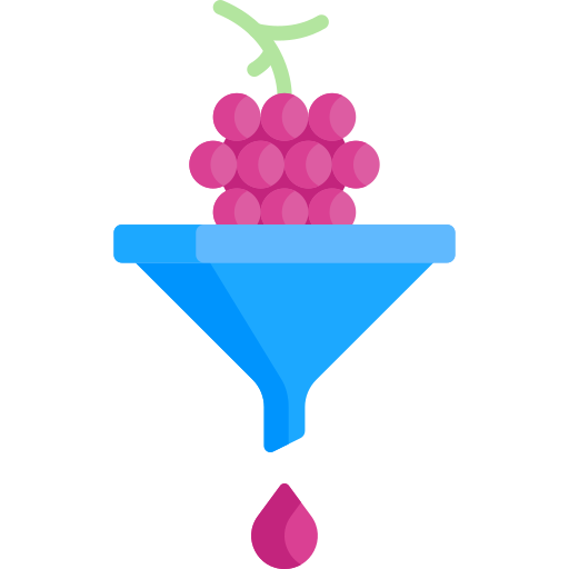 Grapes Special Flat icon