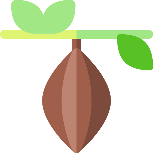 Cocoa bean Basic Rounded Flat icon