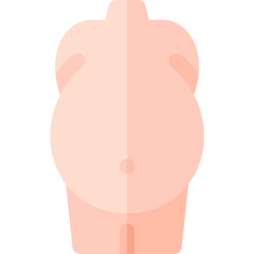 ascite Basic Rounded Flat Icône