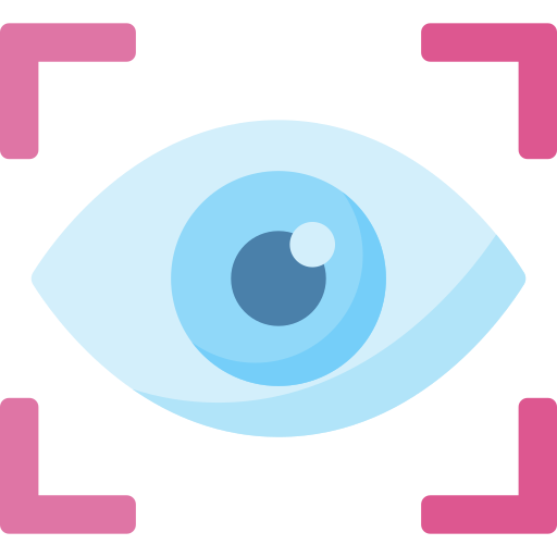 Eye recognition Special Flat icon