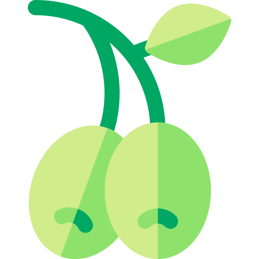 oliven Basic Rounded Flat icon