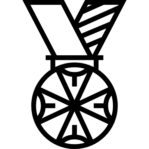 medaille Meticulous Line icoon