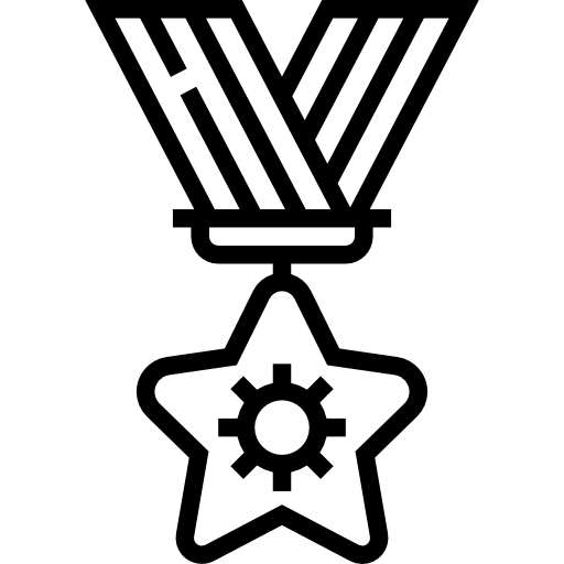 Medal Meticulous Line icon