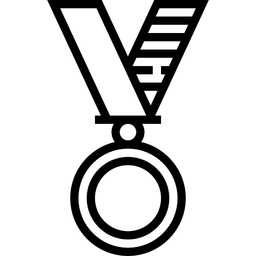 médaille Meticulous Line Icône