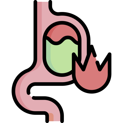 Acidity Special Lineal color icon