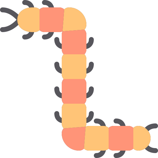 Centipede Berkahicon Flat icon